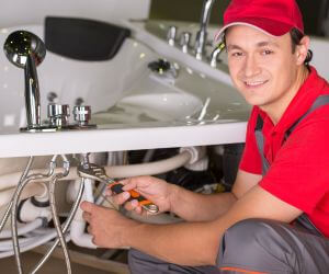 About Emergency plumbing pros Colp, IL